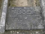 image of grave number 269530